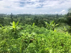 2000 Acres of Land for Sale at Baweleshie