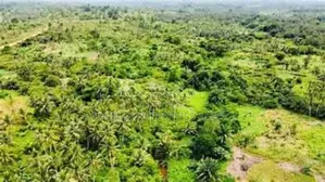 2000 Acres of Land for Sale at Baweleshie