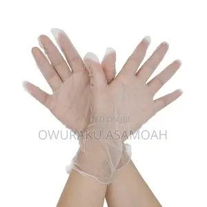 Disposable Vinyl Gloves