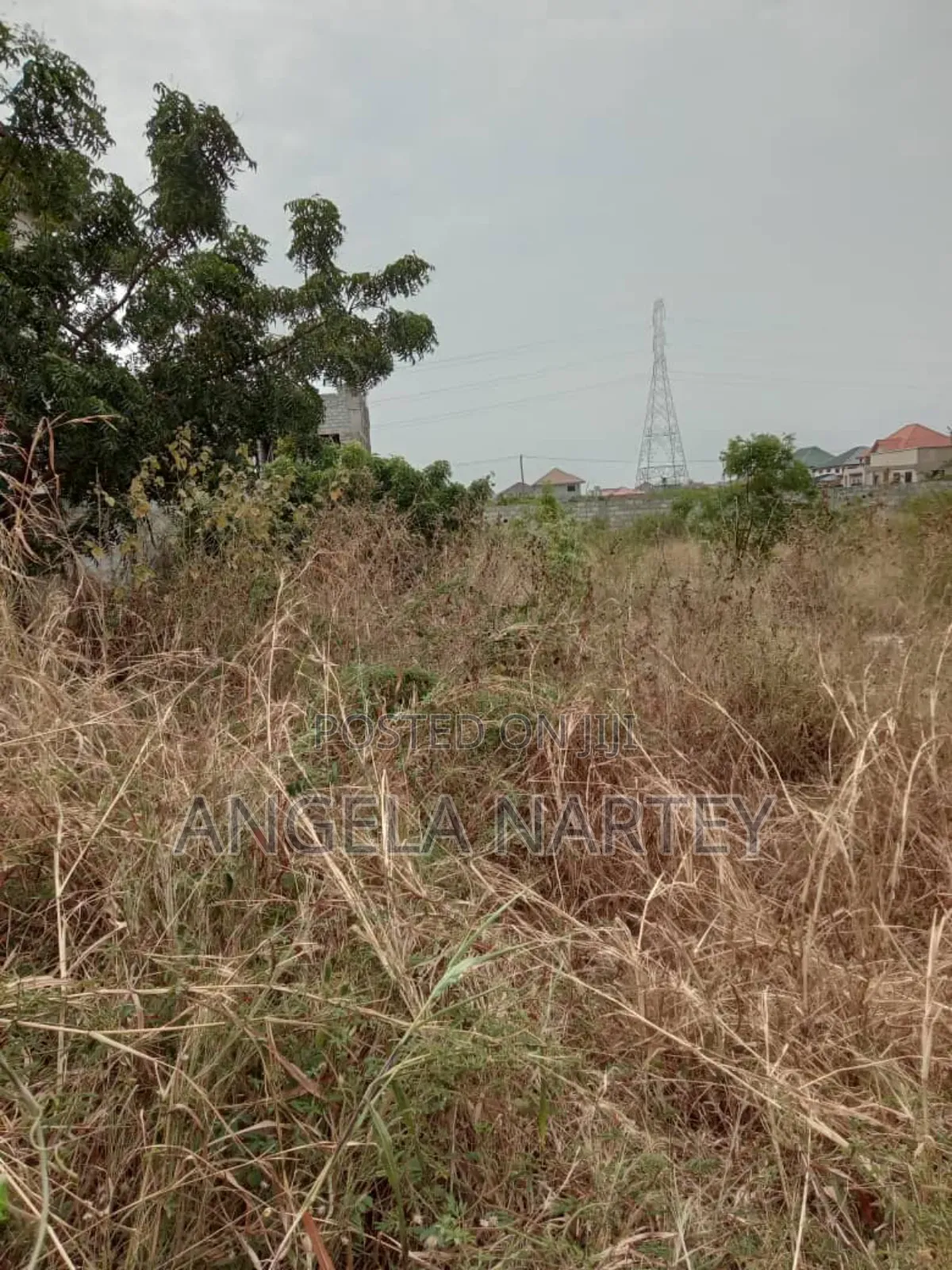 Registered Two Plots at Community 25
