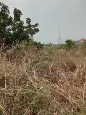 Registered Two Plots at Community 25