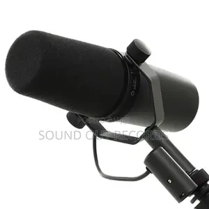 Podcast Microphone Shure Sm7b