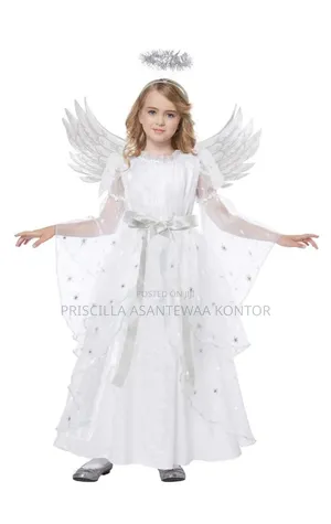 Angel Costumes