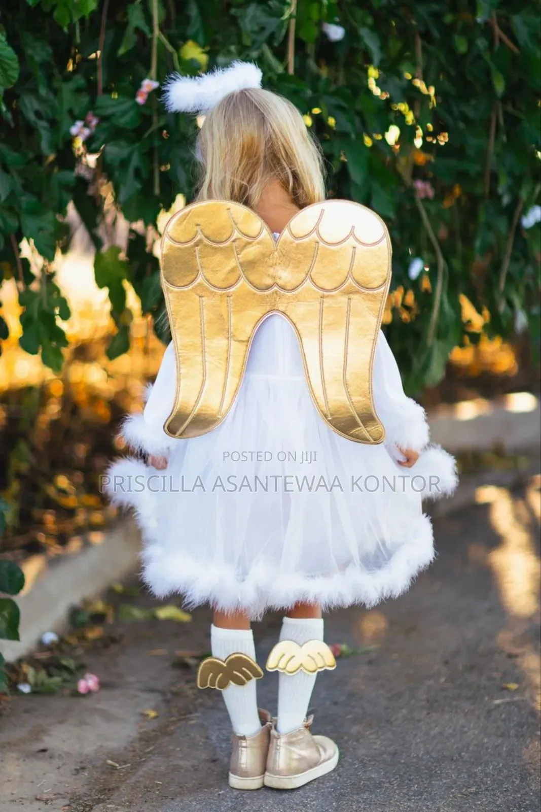 Angel Costumes