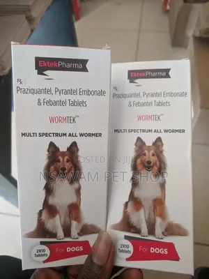 Wormtek Tablet
