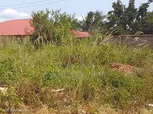 One Plot of Land for Sale Located at Oyibi Saasabi Junction