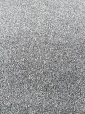 Industrial Plain Gray Carpet