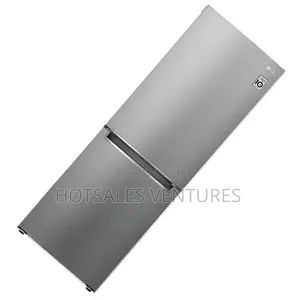 Best Lg 335l Double Door Bottom Freezer Silver Fridge-Gc-B399nljm