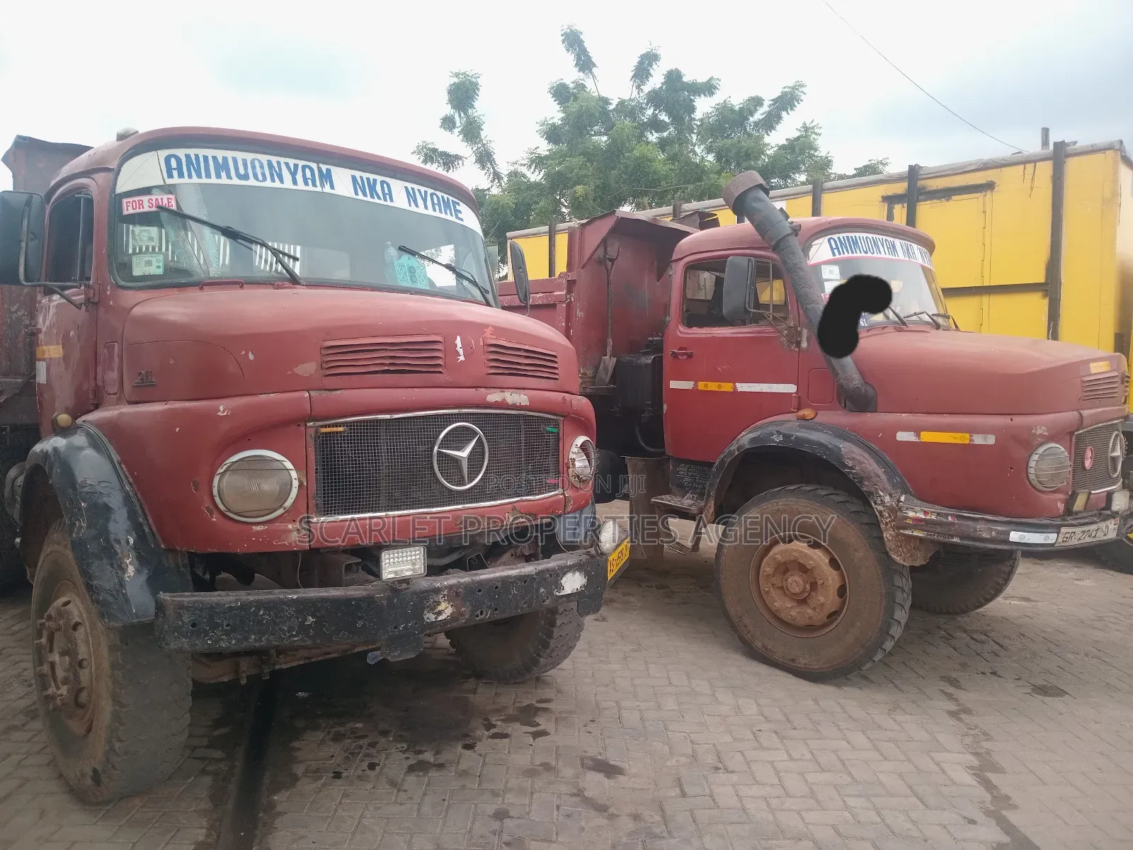 Benz Trucks For