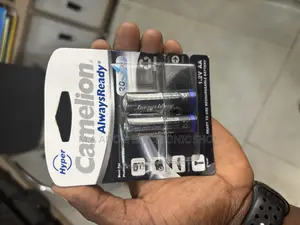 Camelion Always Ready Two Pack Rechargeable Batteries