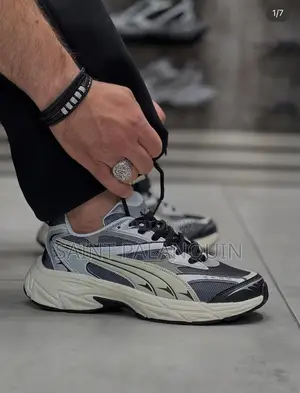 Puma Morphic