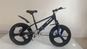 Ben Rors Kids/Teen Bicycle. 20 Inches