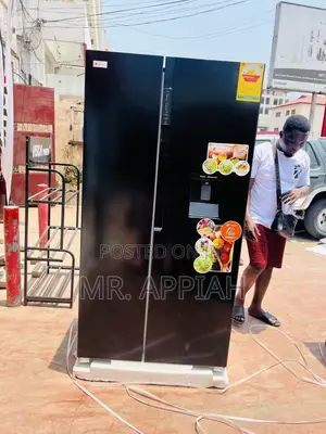 Fast Chilling Galaxy Side by Side 2 Door Electric Refrigerator(527lts)