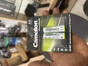 Camelion Recharge Battery