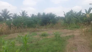 1 Plot of Land for Sale at Atonsu Fabi