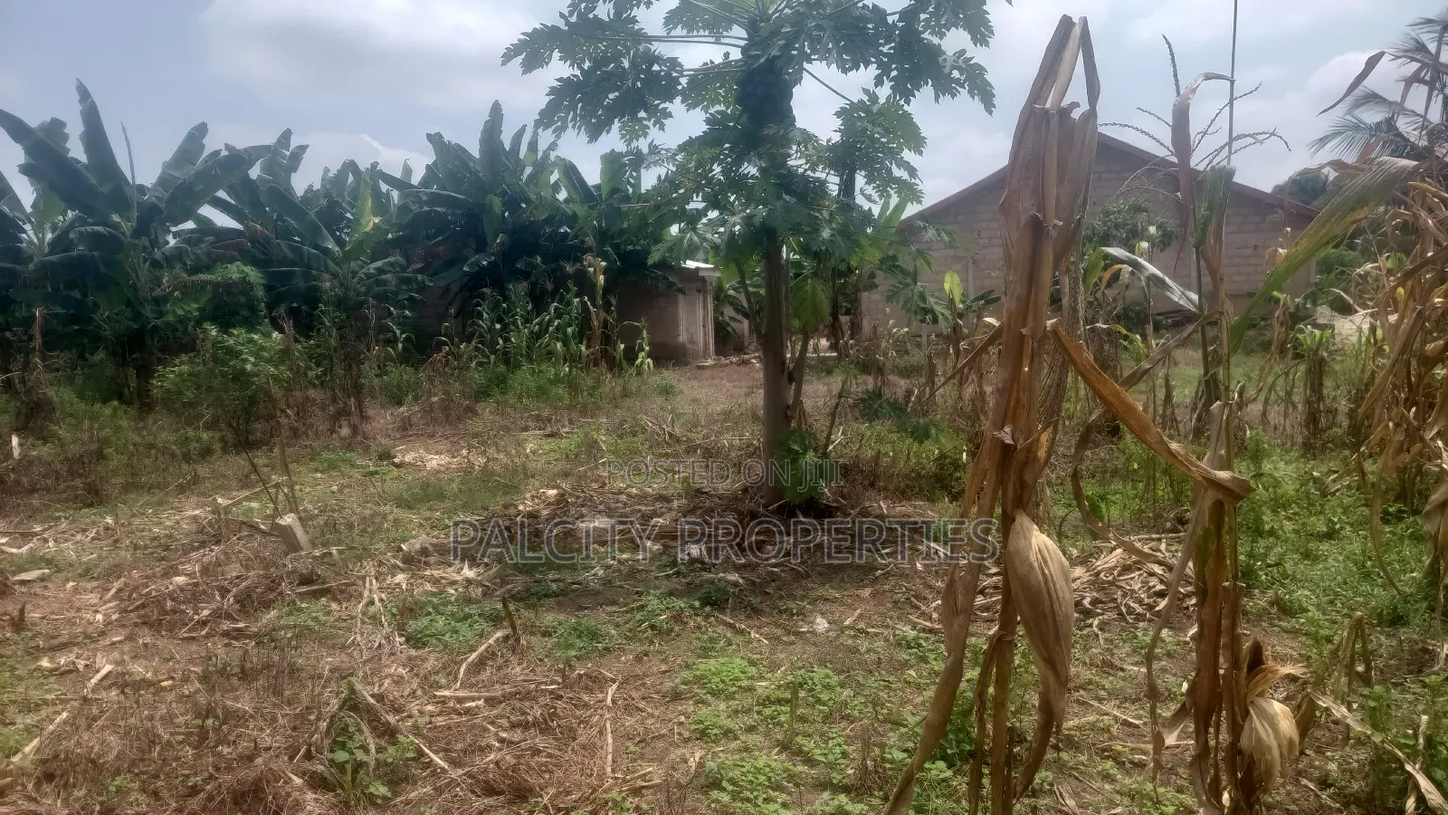 1 Plot of Land for Sale at Atonsu Fabi