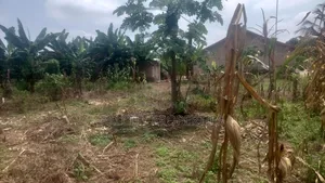 1 Plot of Land for Sale at Atonsu Fabi