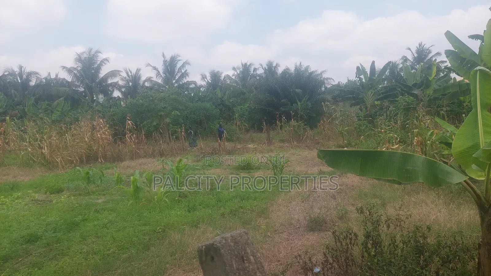 1 Plot of Land for Sale at Atonsu Fabi
