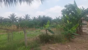 1 Plot of Land for Sale at Atonsu Fabi