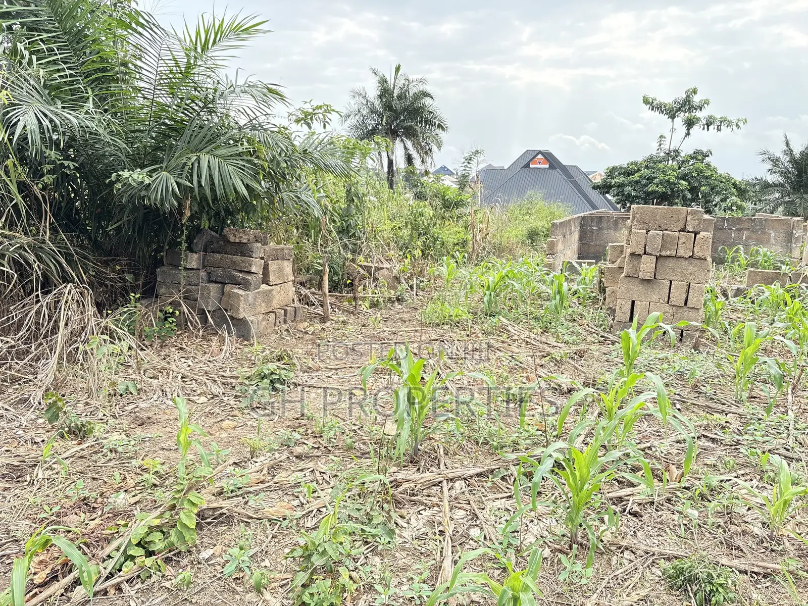 Six Plots for Sale at Sokoban Kwanwoma.