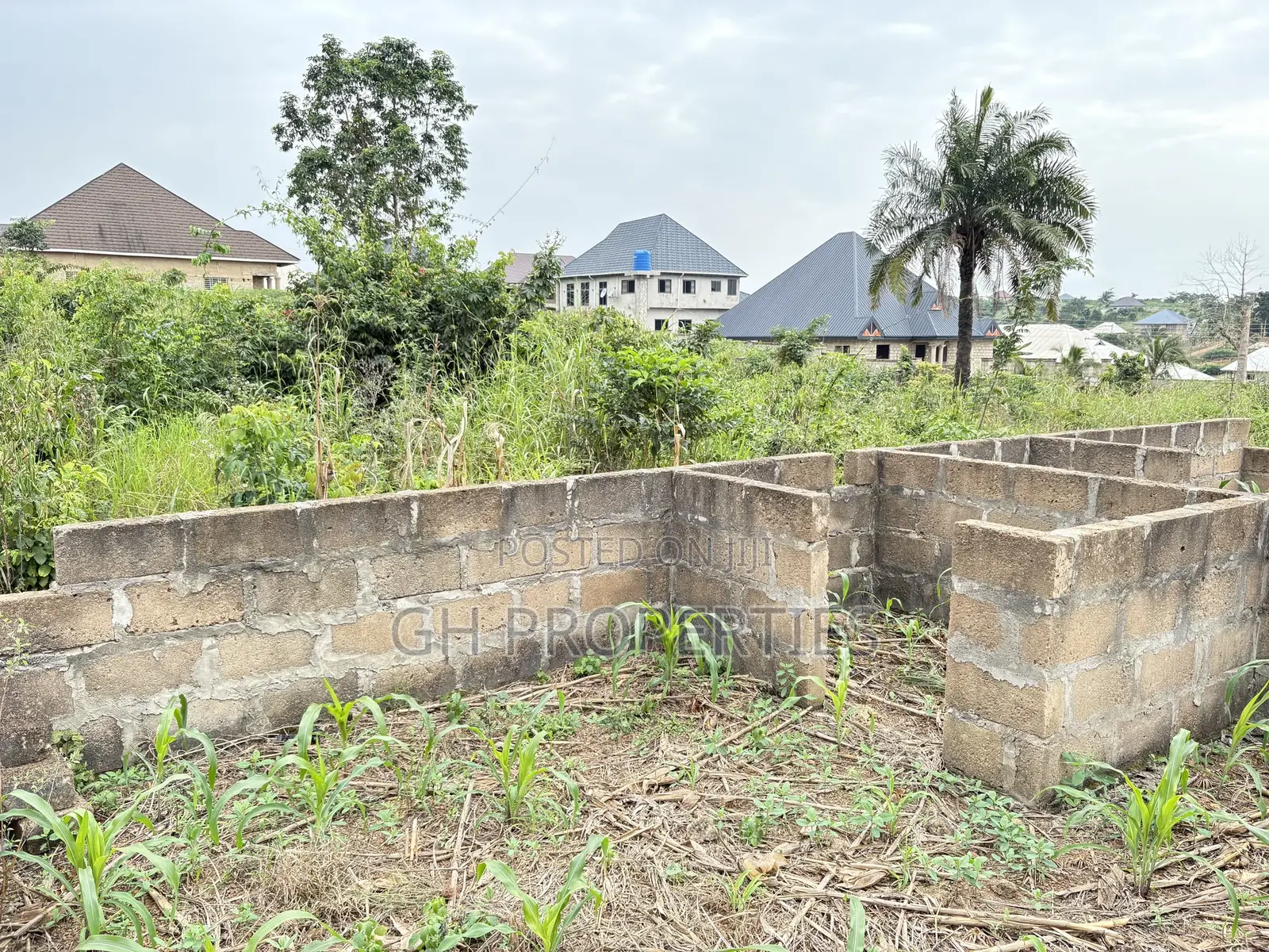 Six Plots for Sale at Sokoban Kwanwoma.