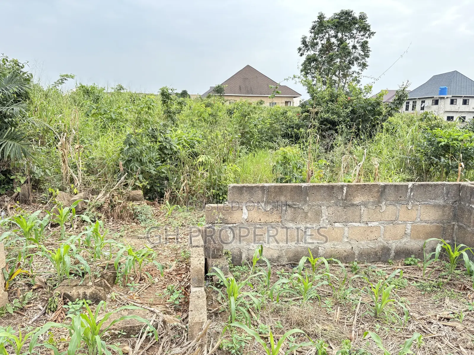 Six Plots for Sale at Sokoban Kwanwoma.
