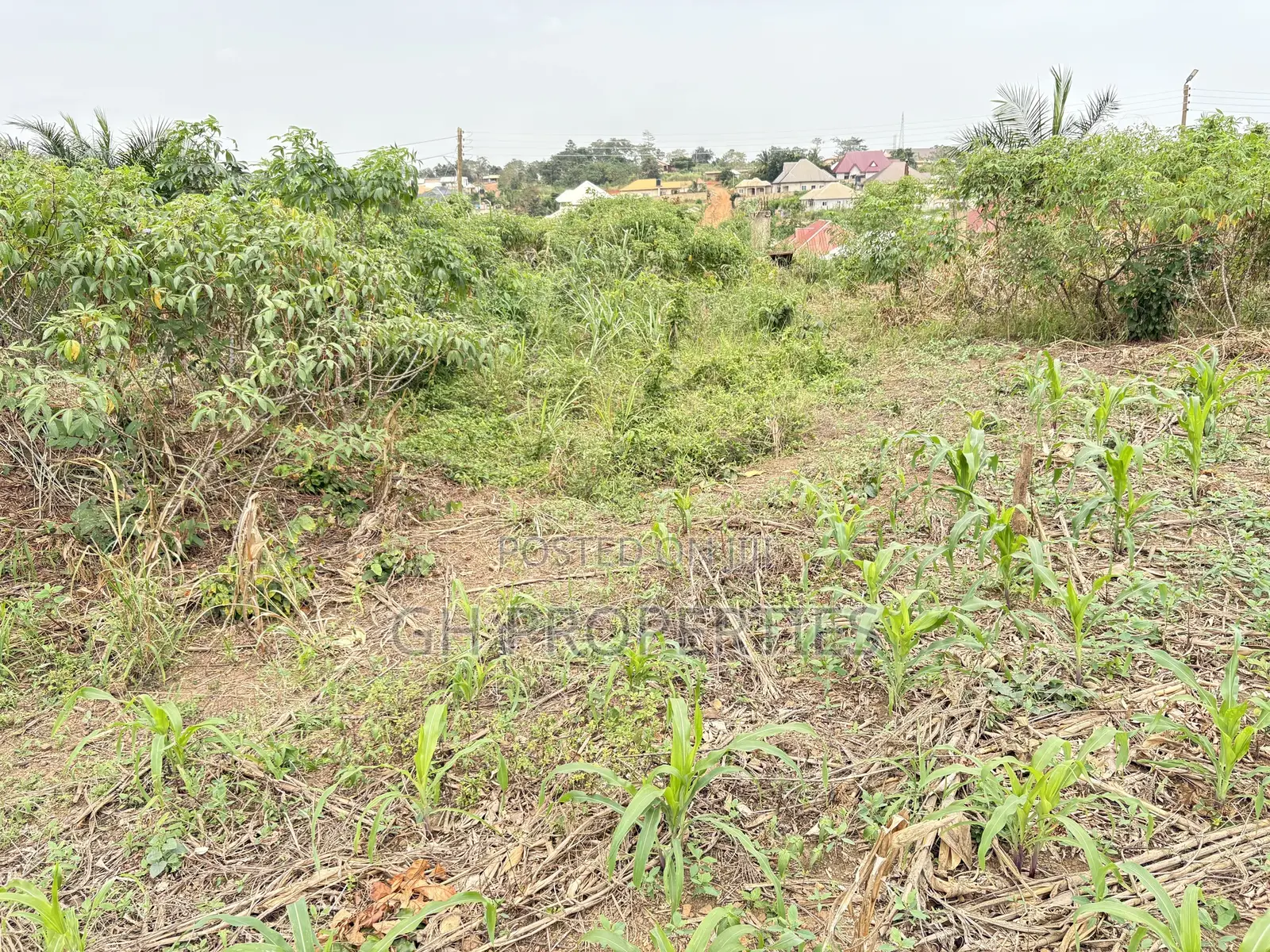 Six Plots for Sale at Sokoban Kwanwoma.