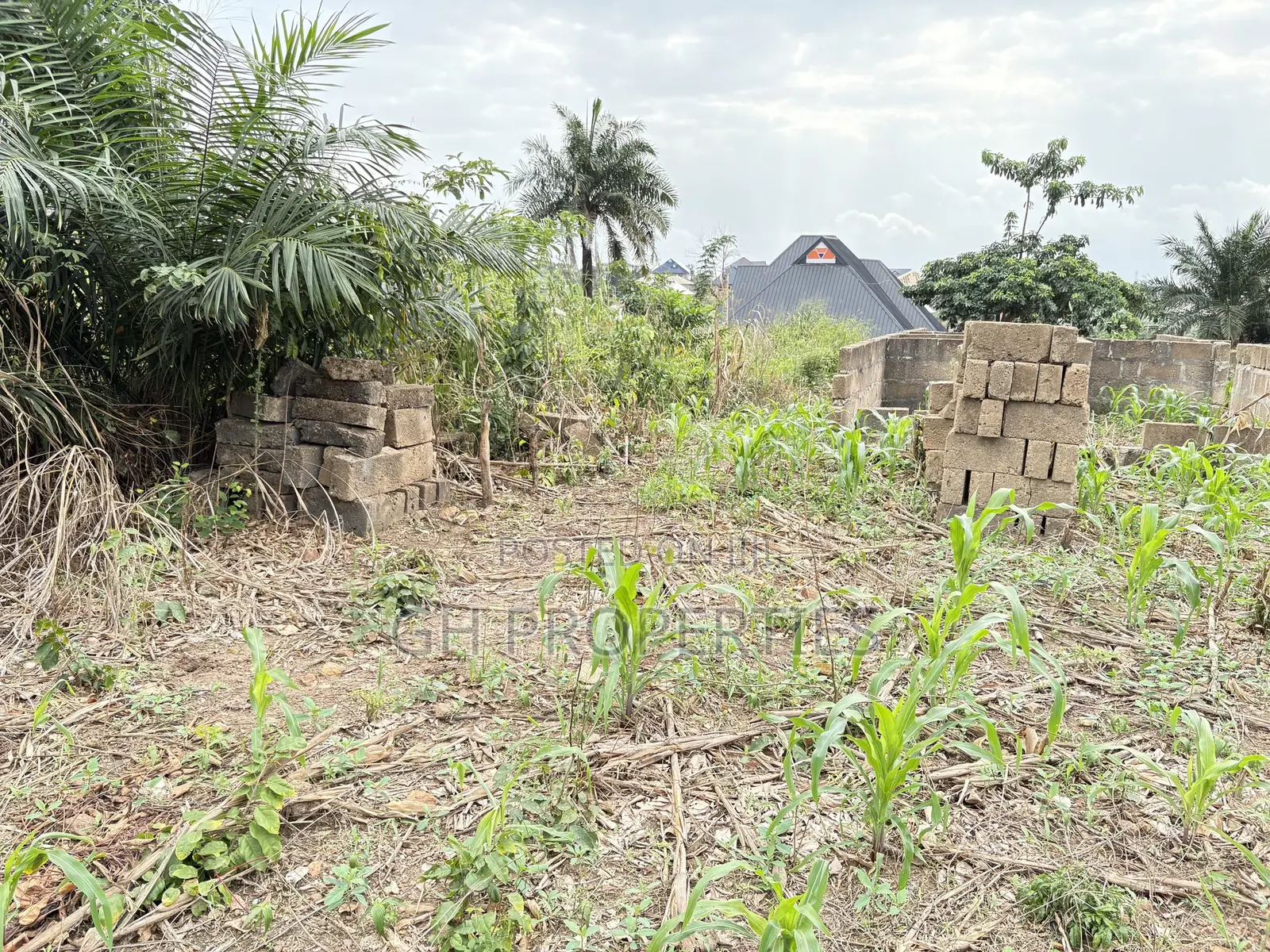 Six Plots for Sale at Sokoban Kwanwoma.