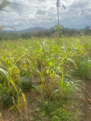 Main Road 4 Half Plots of Land at Dzorwulu