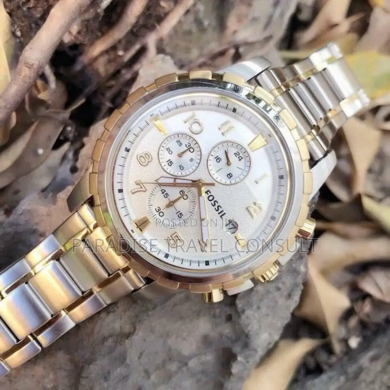 Fossil Fs4795e