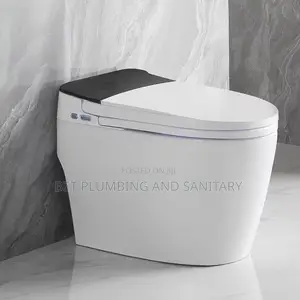 Imported Smart Water Closet_electric Wc _Sensor Wc_remote Control Wc