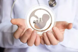 Fertility Support Services