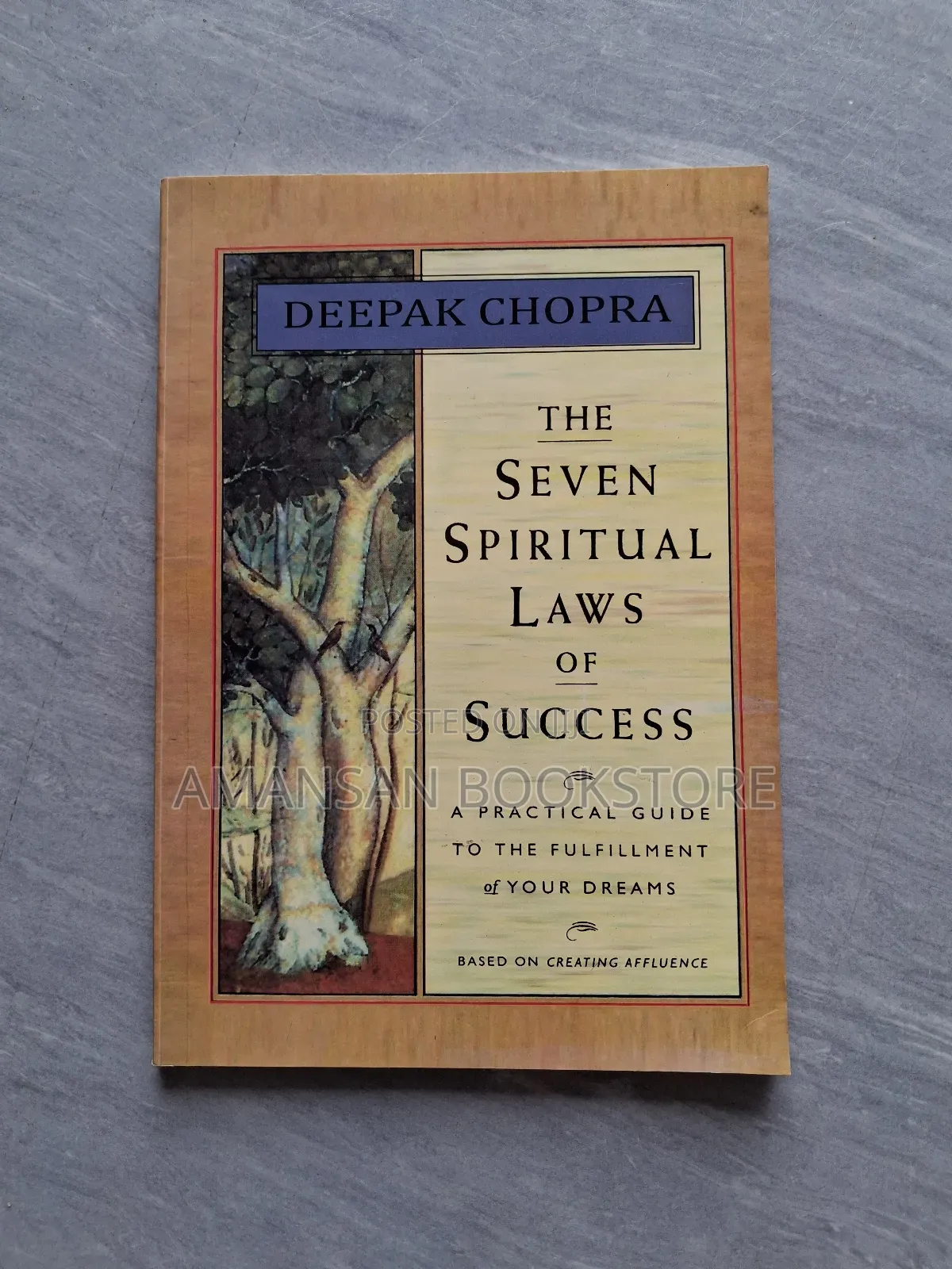 The Seven Spiritual Laws of Success