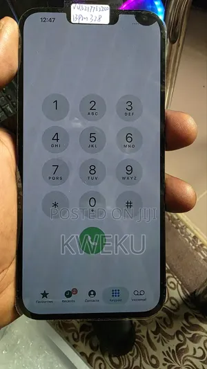 iPhone 13 Pro Max Icloud Screen 1