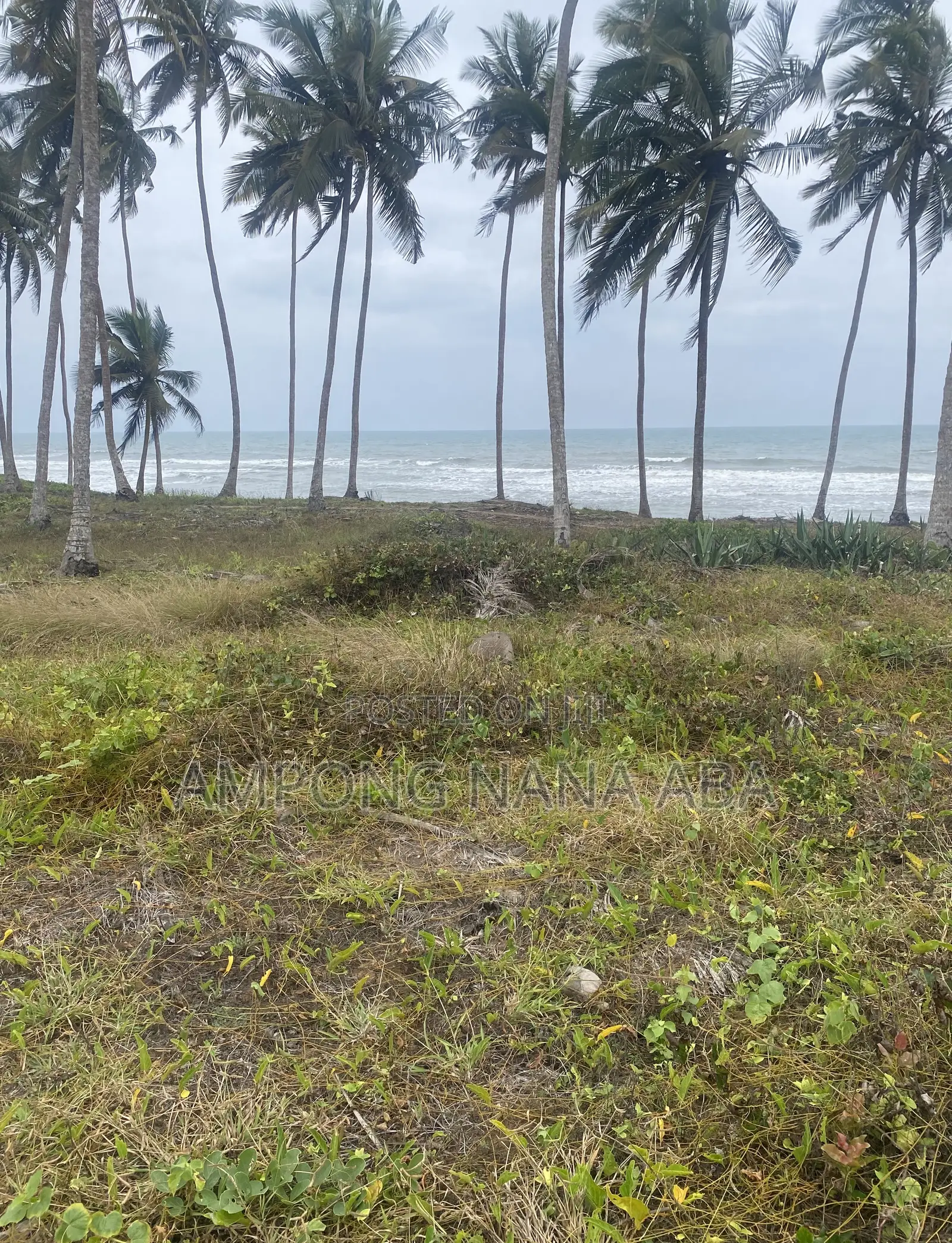 Beach Front Land at Senya Beraku 1acre Available