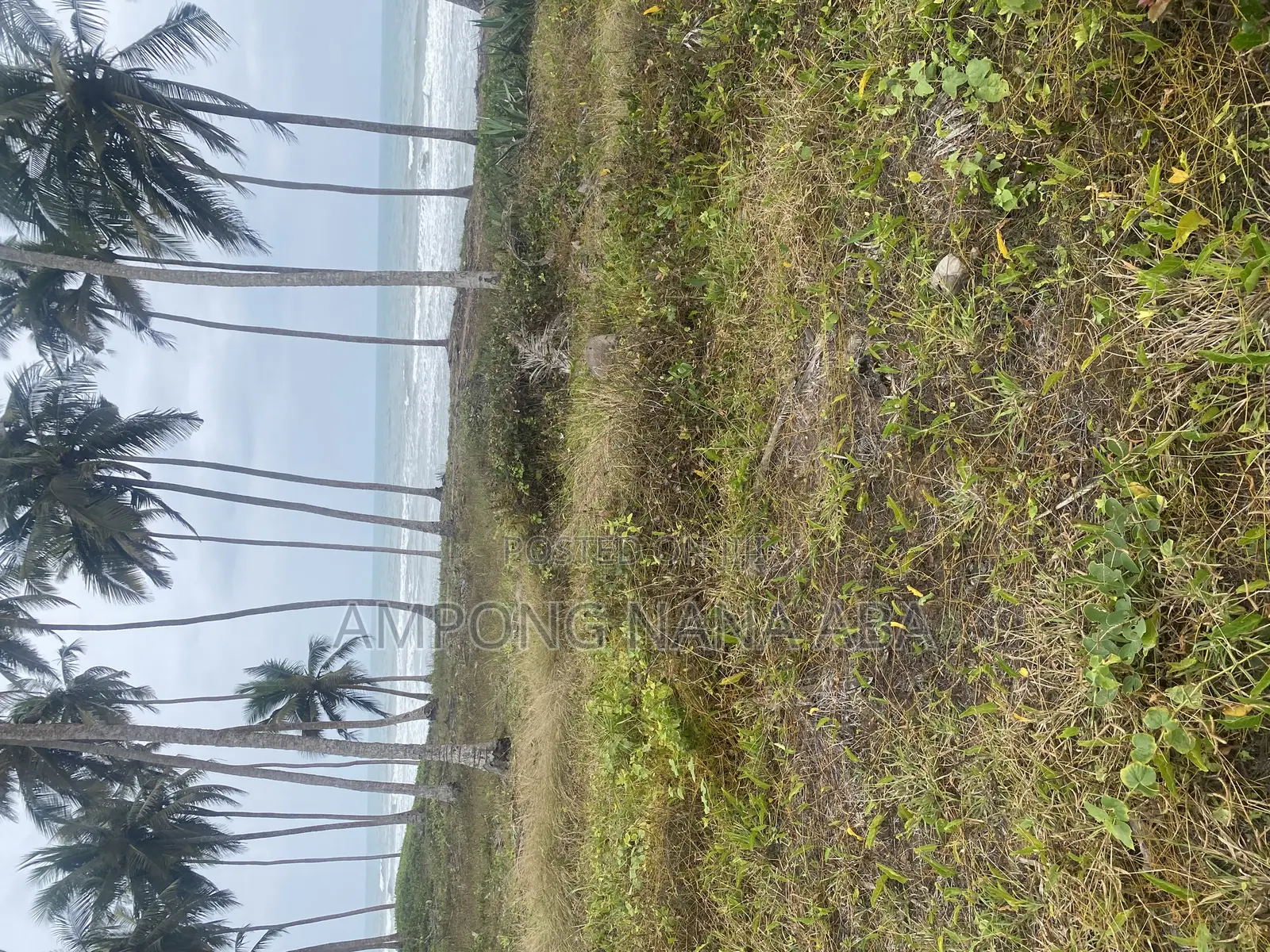 Beach Front Land at Senya Beraku 1acre Available