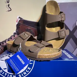 Birkenstocks Arizona
