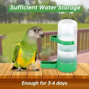 Parrots/Pigeon Drinker