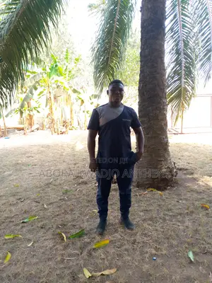 Hotel Manager for Hire in Tema With Accommodation