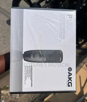Akg P120 Condenser Microphone.