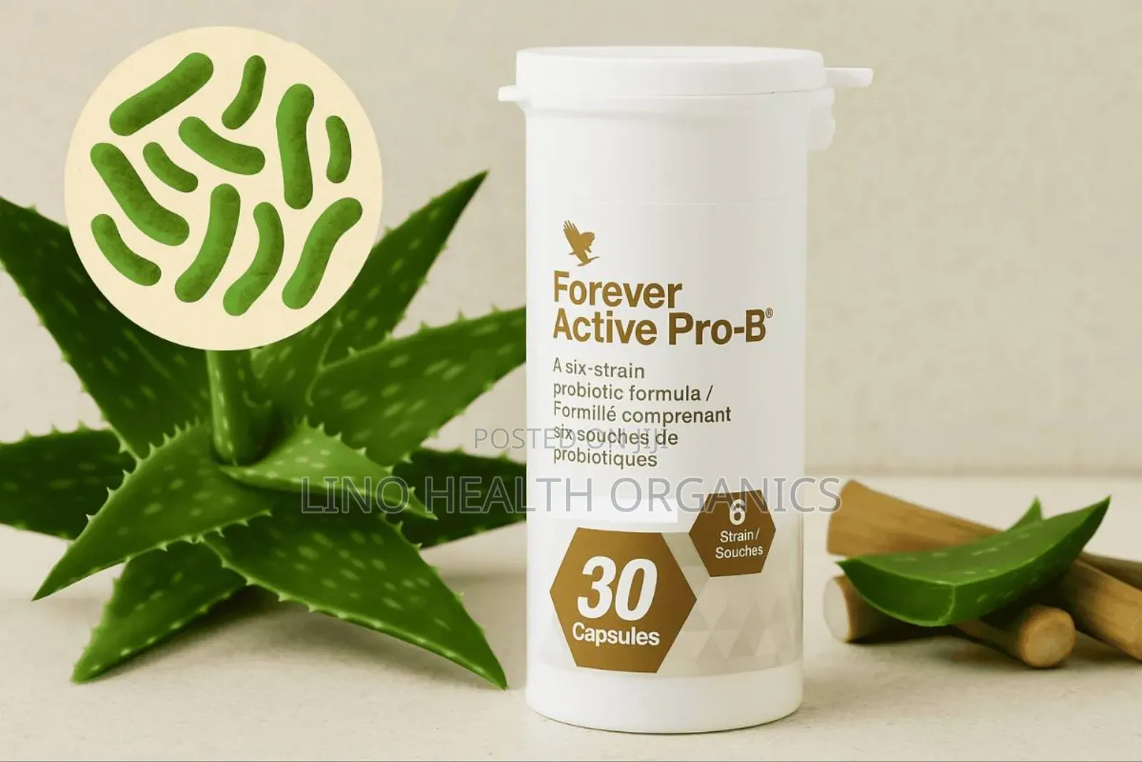 Forever Active Pro-B | Probiotic Supplement | Gut Health Support