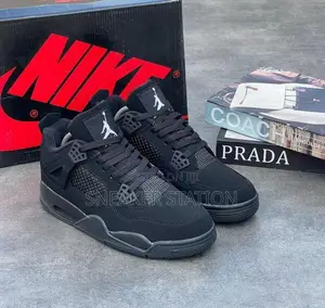 Air Jordan 4 Black Cat Available