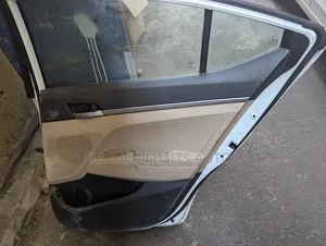 Hyundai Elantra 2019,2020 Door