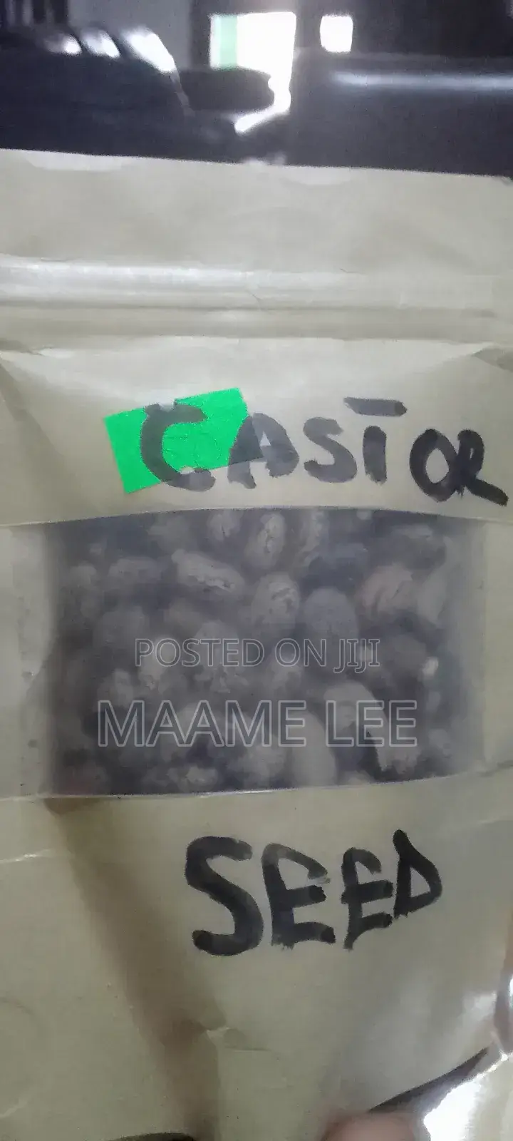 Castor Seed