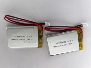 Rechargeable Alarm Batteries