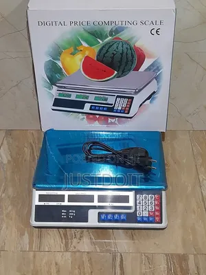 Digital Price Computing Scale – Weigh Price Instantly