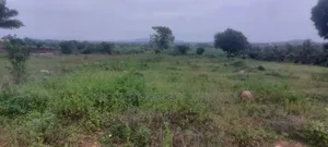 Land's For Sale