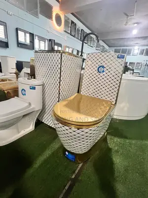 European_white and Gold Water Closet With Standing Basin Complete_wc