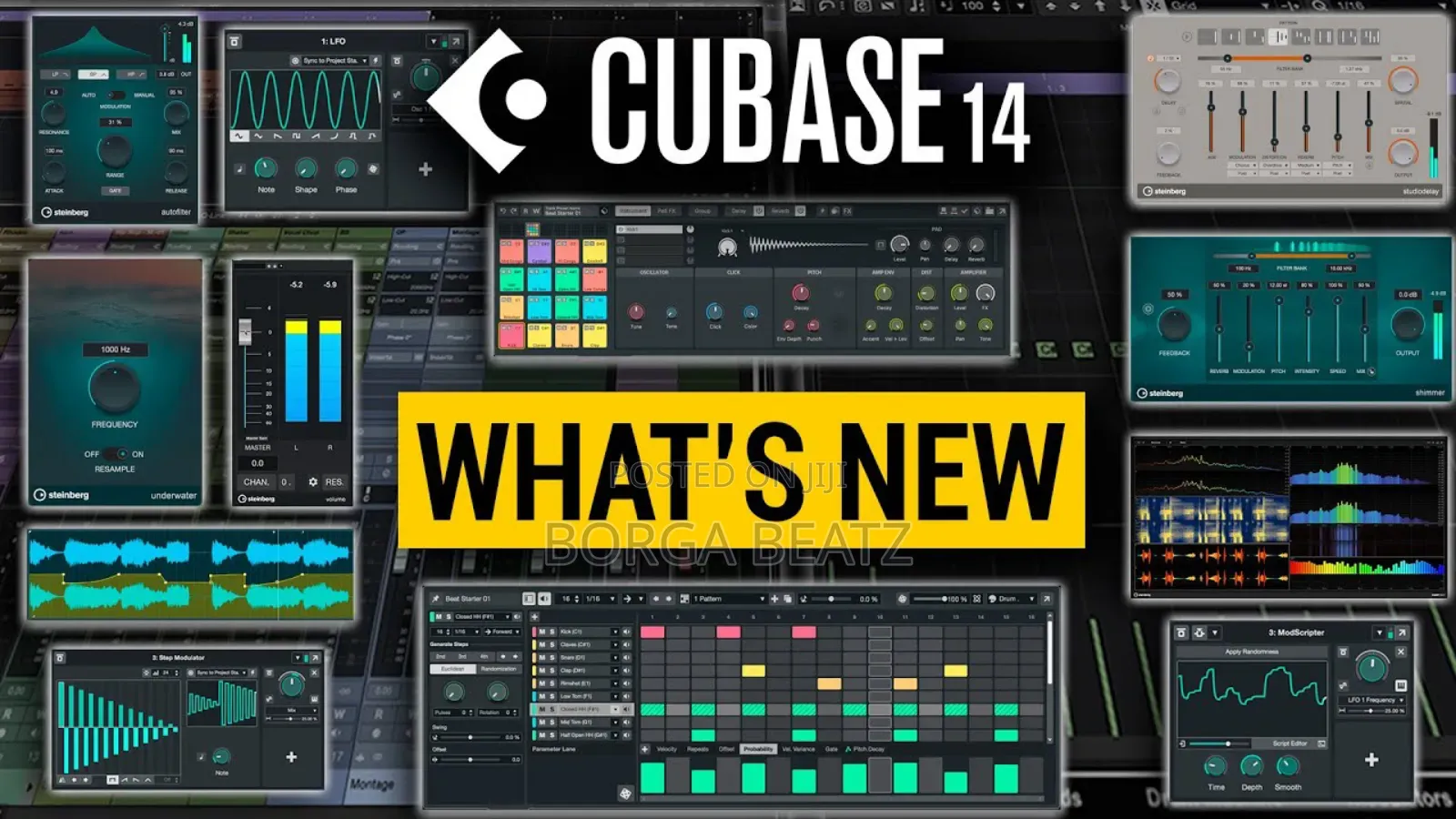 Steinberg Cubase 14 Pro Windows Installation
