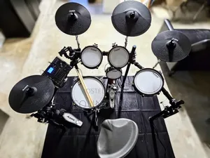 Alesis Crimson Iii Electronic Drum Kit.